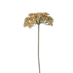 Funky Chunky Furniture Wreaths & Plants Achillea Blush Stems - 3 Pack