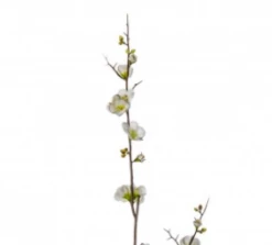 Funky Chunky Furniture Cherry Blossom Stems - White - 3 Pack Wreaths & Plants
