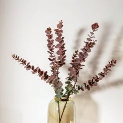 Funky Chunky Furniture Tall Eucalyptus Spray - Damson Wreaths & Plants