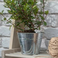 Funky Chunky Furniture Medium Steel Plant Pot Outdoor