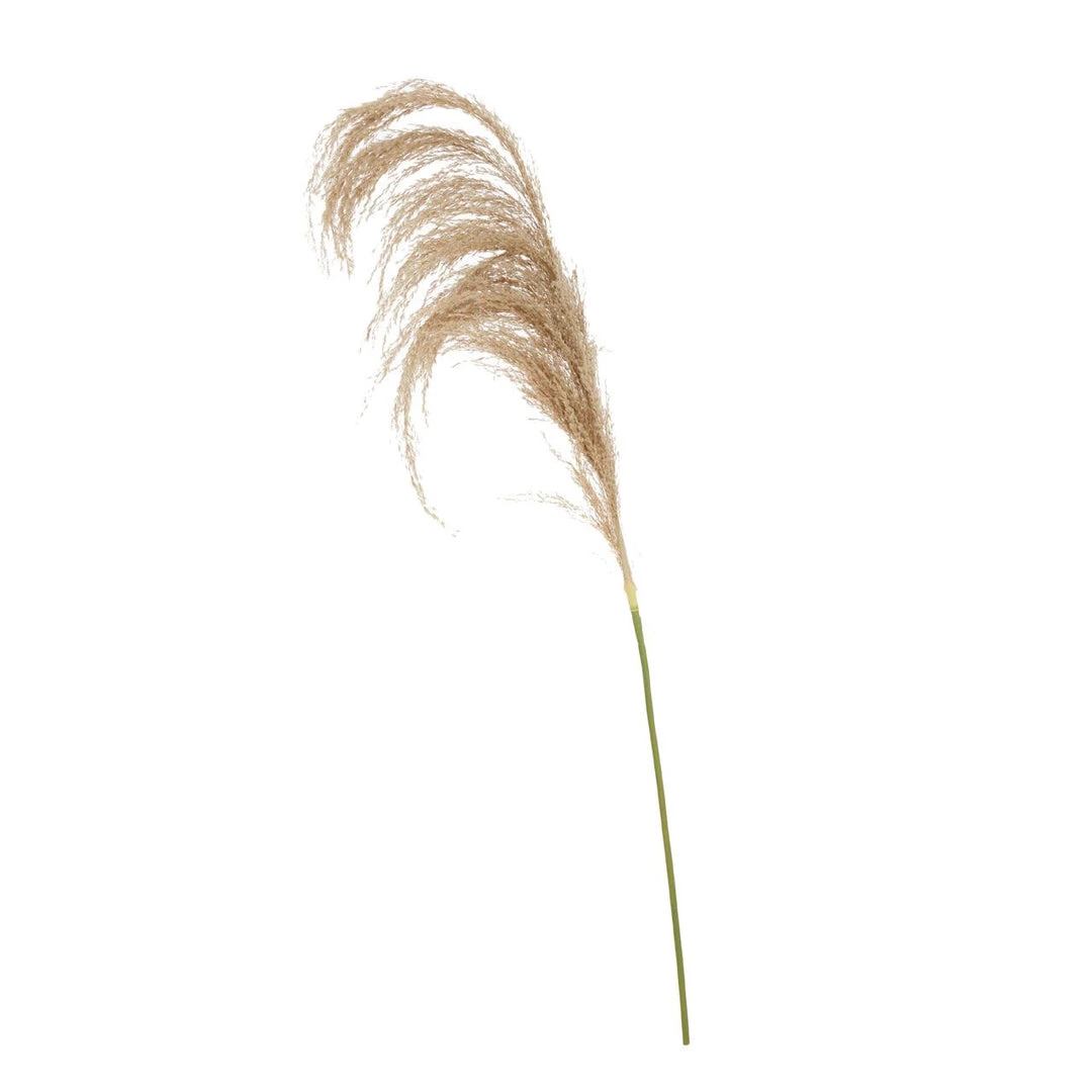 Funky Chunky Furniture Natural Pampas Grass Stem 3 Funky Chunky Furniture Natural Pampas Grass Stem