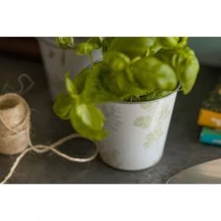 Funky Chunky Furniture Set Of Plant Pots & Tray Garden Accessories