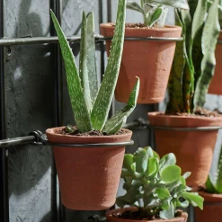 Funky Chunky Furniture Outdoor Terracotta Wall Planter