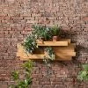 Funky Chunky Furniture Wylam Solid Oak Wall Planter Outdoor