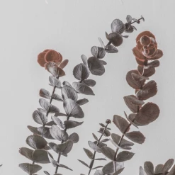 Funky Chunky Furniture Tall Eucalyptus Spray - Dusky Blush Wreaths & Plants