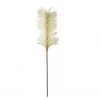 Funky Chunky Furniture Tall Feather Stem - Cream - Pack Of 5 Wreaths & Plants