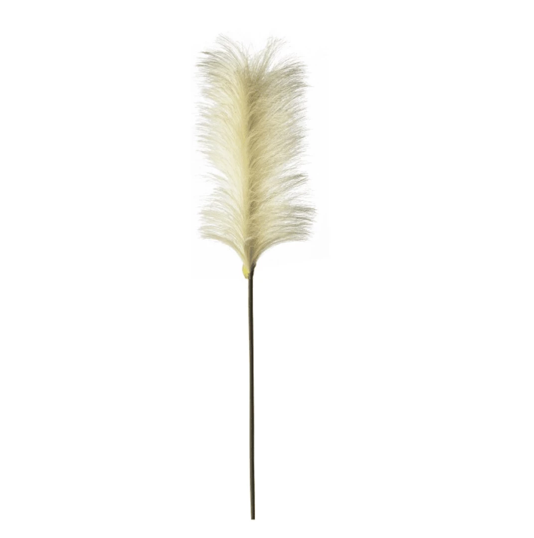 Funky Chunky Furniture Tall Feather Stem - Cream - Pack Of 5 Wreaths & Plants 3 Funky Chunky Furniture Tall Feather Stem - Cream - Pack Of 5 Wreaths & Plants